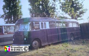 558vvx,bedford,sb1,willowbrook