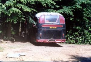 24hto,ysy296,bedford,sb1,duple